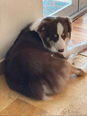 Meet your Posher, Patricia